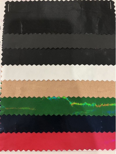 GZ-JNHE  391  尼龍面料 背囊/雨衣面料  正面照